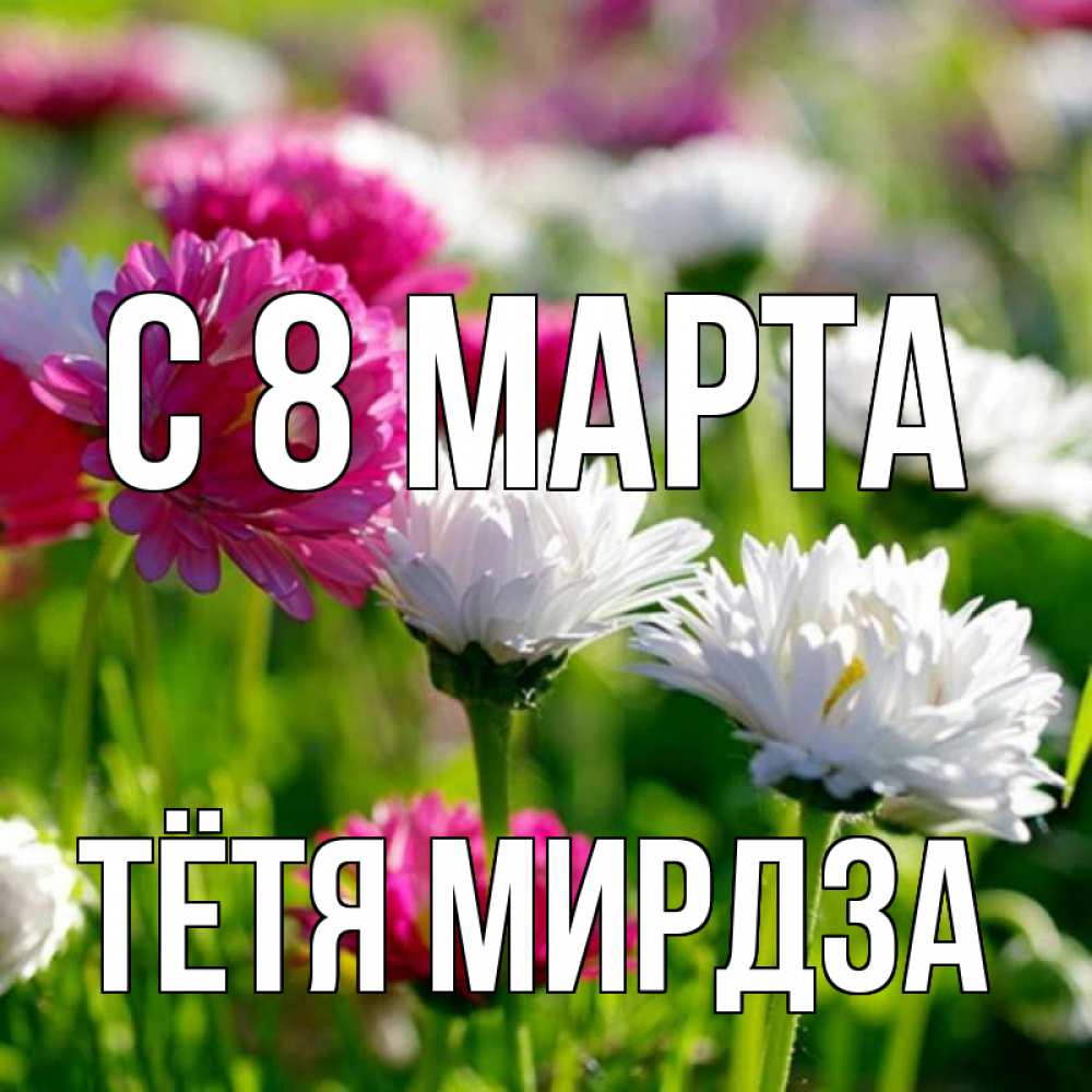 Открытка на каждый день с именем, Тётя-Мирдза С 8 марта международный женский день 1 Прикольная открытка с пожеланием онлайн скачать бесплатно 