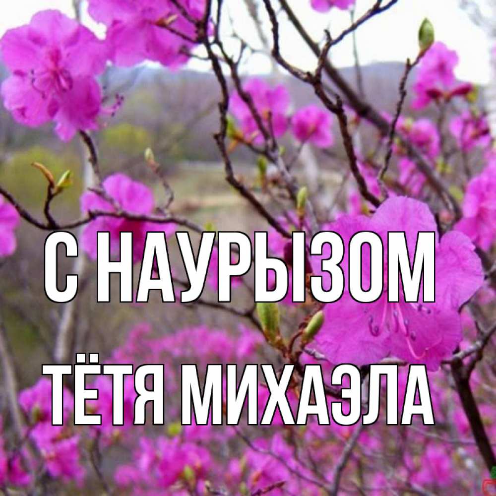 Открытка на каждый день с именем, Тётя-Михаэла С наурызом праздник весны наурыз Прикольная открытка с пожеланием онлайн скачать бесплатно 