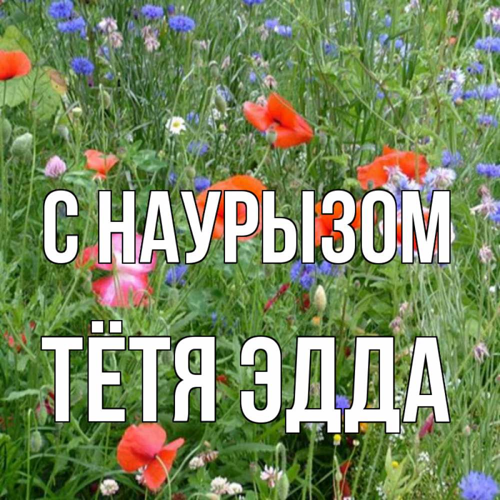 Открытка на каждый день с именем, Тётя-Эдда С наурызом праздник весны наурыз супер открытка Прикольная открытка с пожеланием онлайн скачать бесплатно 