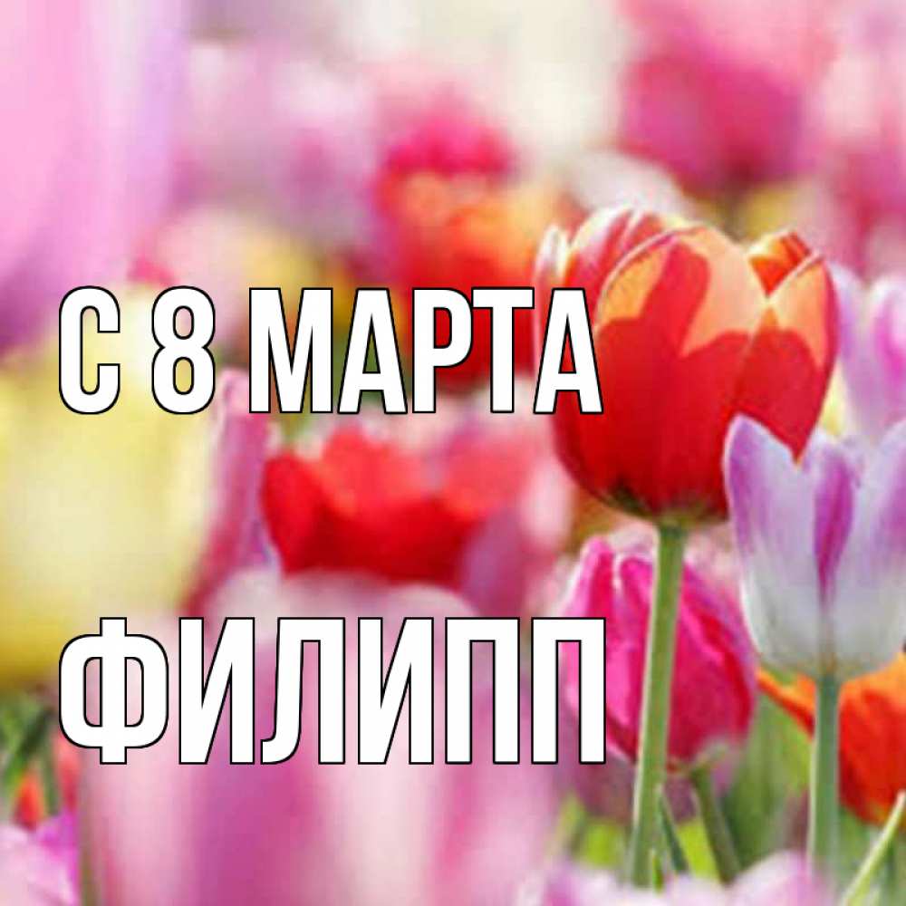 Открытка на каждый день с именем, Филипп С 8 МАРТА на международный женский день 2 Прикольная открытка с пожеланием онлайн скачать бесплатно 