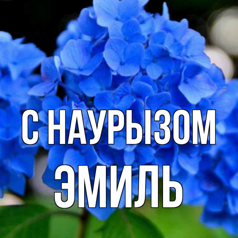 Открытка на каждый день с именем, Эмиль С наурызом синие цветы Прикольная открытка с пожеланием онлайн скачать бесплатно 