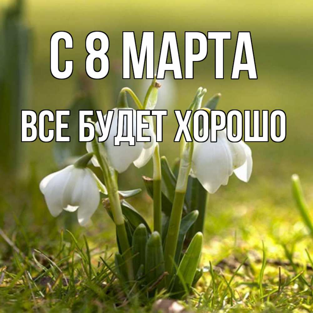 Открытка на каждый день с именем, Все-будет-хорошо С 8 МАРТА ранние цветы 2 Прикольная открытка с пожеланием онлайн скачать бесплатно 