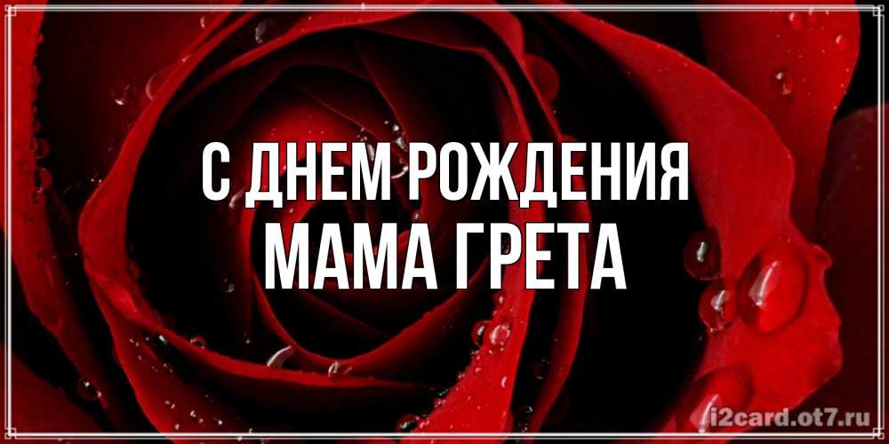 Открытка на каждый день с именем, Мама-Грета С днем рождения крупная бордовая роза Прикольная открытка с пожеланием онлайн скачать бесплатно 
