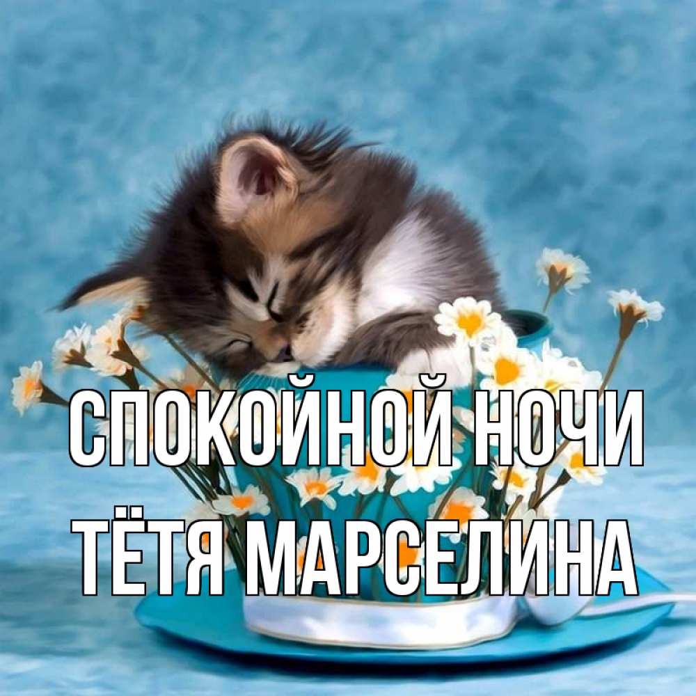 Открытка на каждый день с именем, Тётя-Марселина Спокойной ночи котенок спит в кружке с блюдцем Прикольная открытка с пожеланием онлайн скачать бесплатно 