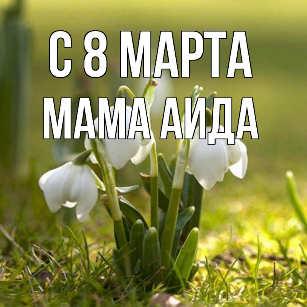 Открытка на каждый день с именем, Мама-Аида С 8 марта ранние цветы 2 Прикольная открытка с пожеланием онлайн скачать бесплатно 