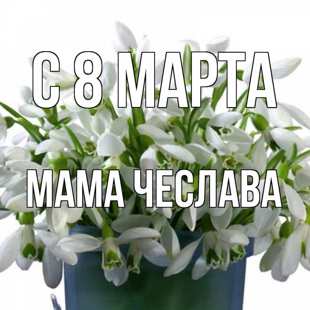 Открытка на каждый день с именем, Мама-Чеслава С 8 МАРТА цветы к международному женскому дню Прикольная открытка с пожеланием онлайн скачать бесплатно 