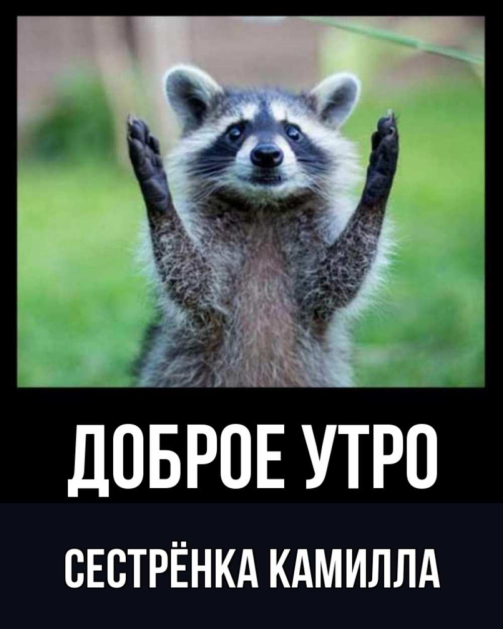 Открытка на каждый день с именем, Сестрёнка-Камилла Доброе утро хорошее настроение утречком Прикольная открытка с пожеланием онлайн скачать бесплатно 