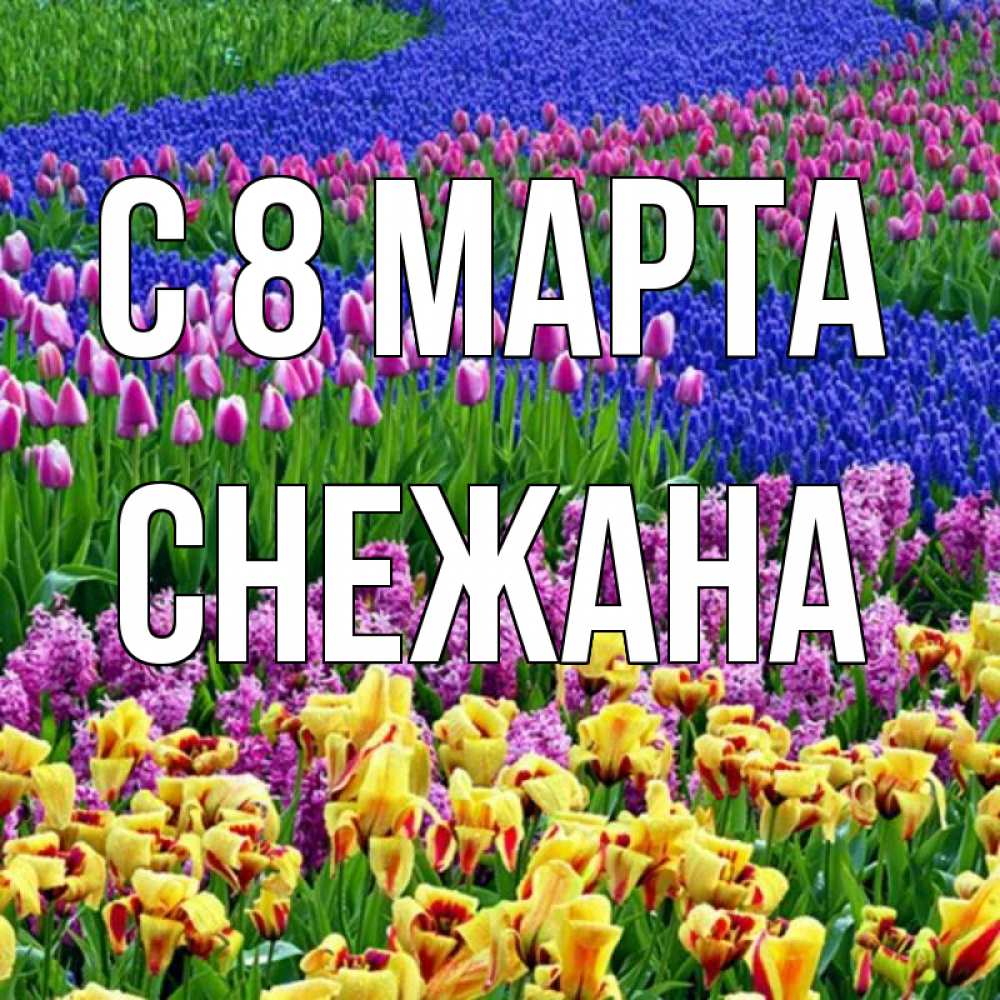 Открытка на каждый день с именем, Снежана С 8 МАРТА цветы Прикольная открытка с пожеланием онлайн скачать бесплатно 