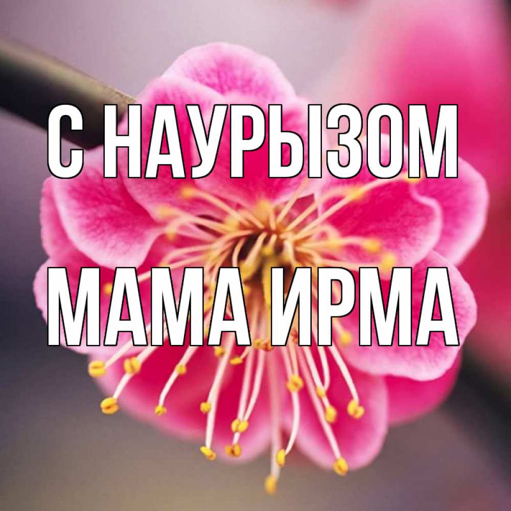 Открытка на каждый день с именем, Мама-Ирма С наурызом цветы Прикольная открытка с пожеланием онлайн скачать бесплатно 