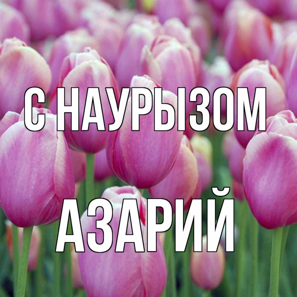 Открытка на каждый день с именем, Азарий С наурызом праздник весны наурыз 69 Прикольная открытка с пожеланием онлайн скачать бесплатно 