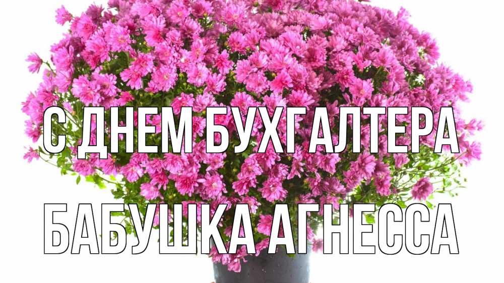 Открытка на каждый день с именем, Бабушка-Агнесса С днем бухгалтера с днем бухгалтера Прикольная открытка с пожеланием онлайн скачать бесплатно 