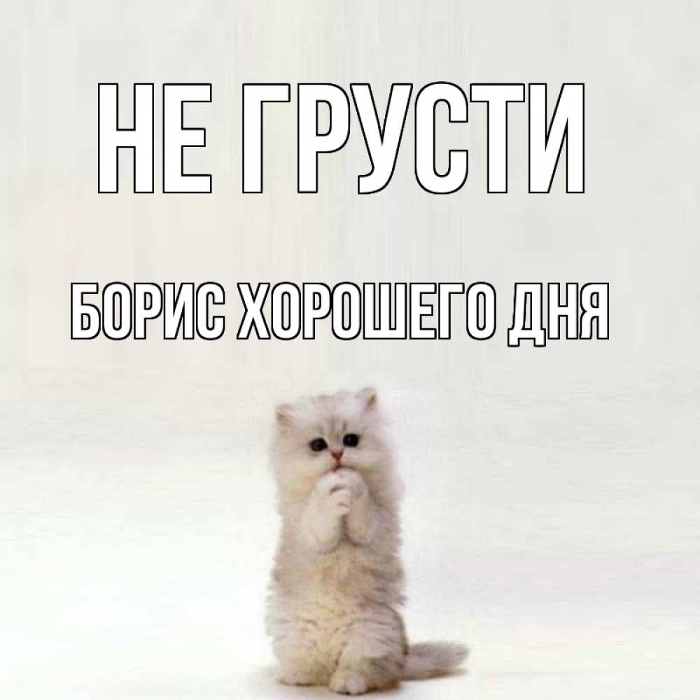 Открытка на каждый день с именем, Борис-хорошего-дня Не грусти грустный кот Прикольная открытка с пожеланием онлайн скачать бесплатно 