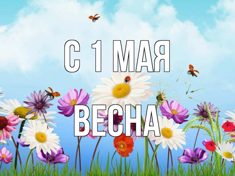 Открытка на каждый день с именем, Весна С 1 мая С 1 мая Прикольная открытка с пожеланием онлайн скачать бесплатно 