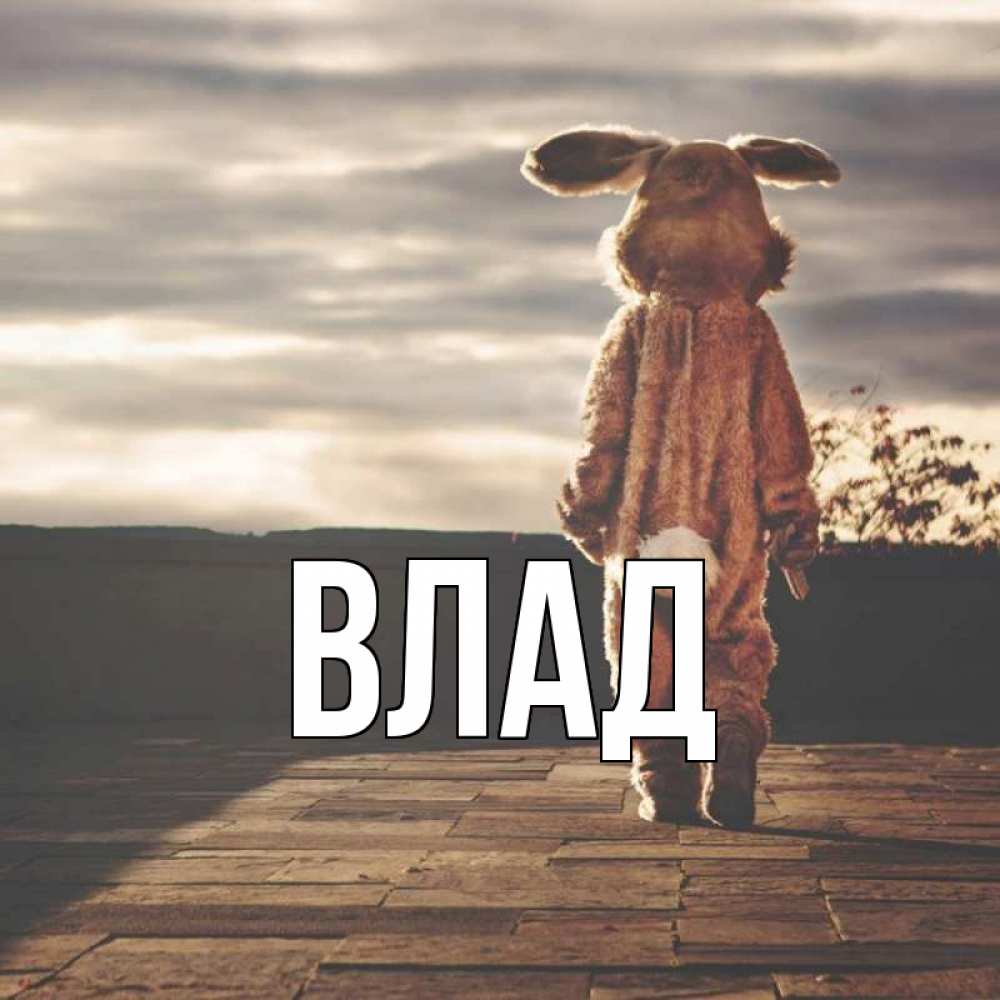 Открытка на каждый день с именем, Влад Главная даже в костюме зайца Прикольная открытка с пожеланием онлайн скачать бесплатно 