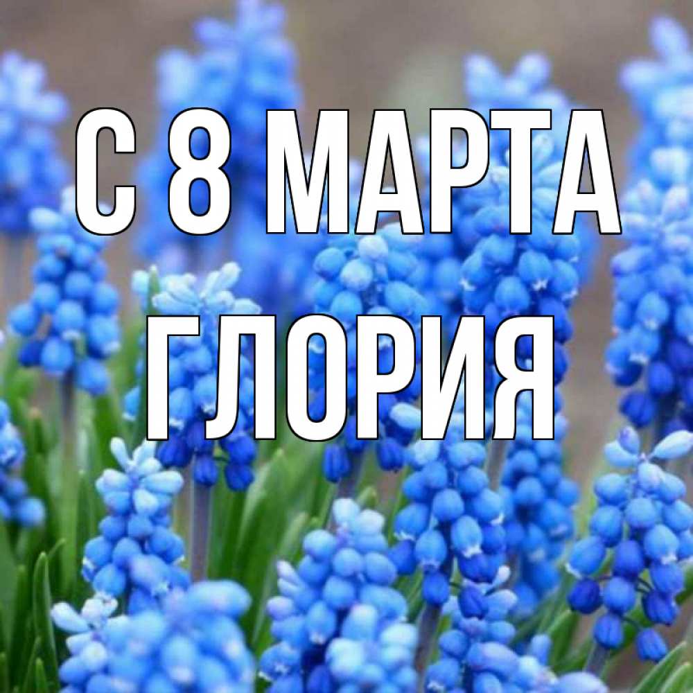 Открытка на каждый день с именем, Глория С 8 марта Поздравительная открытка для женщин с цветами на праздничную дату Прикольная открытка с пожеланием онлайн скачать бесплатно 
