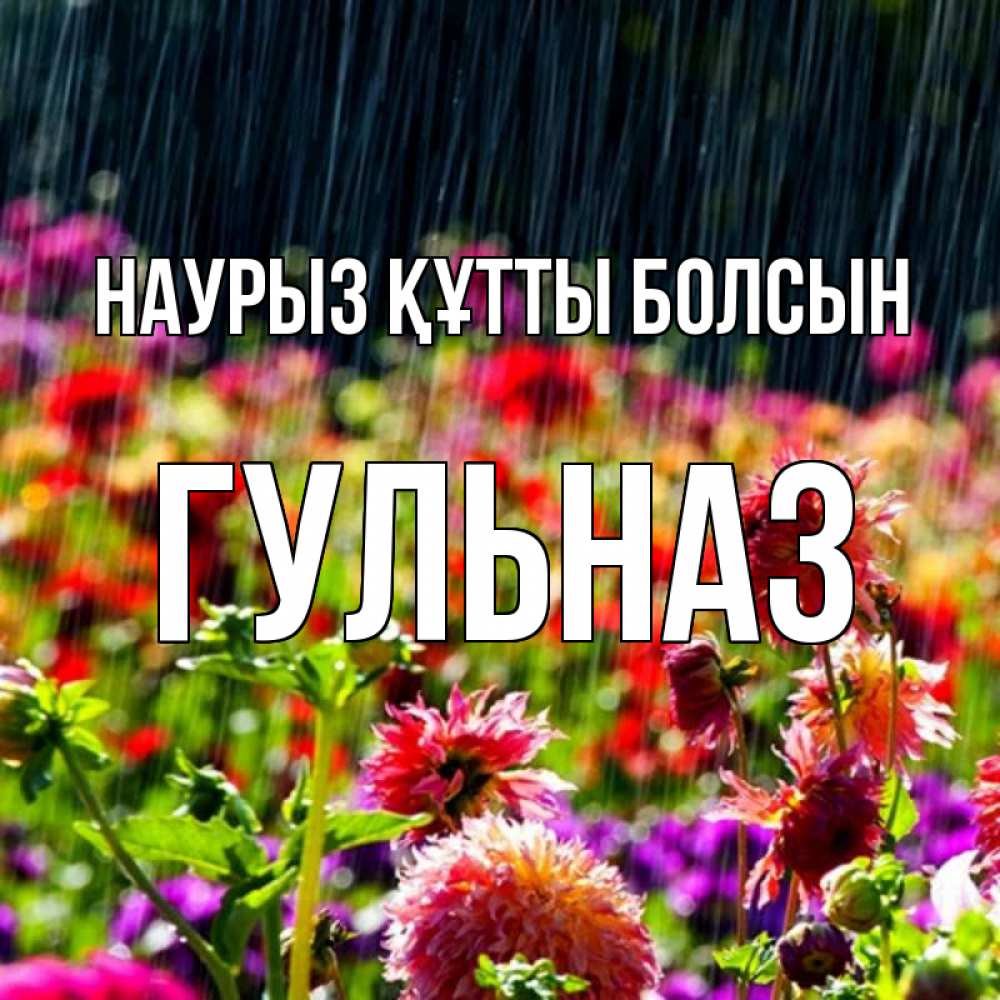 Открытка на каждый день с именем, Гульназ Наурыз құтты болсын цветы под дождиком к наурызу Прикольная открытка с пожеланием онлайн скачать бесплатно 