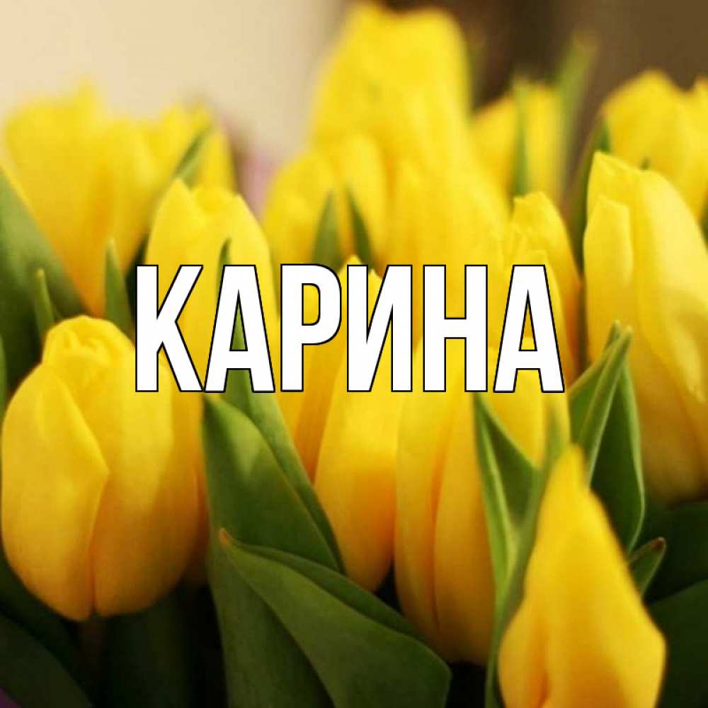 Открытка на каждый день с именем, Карина Главная цветы Прикольная открытка с пожеланием онлайн скачать бесплатно 