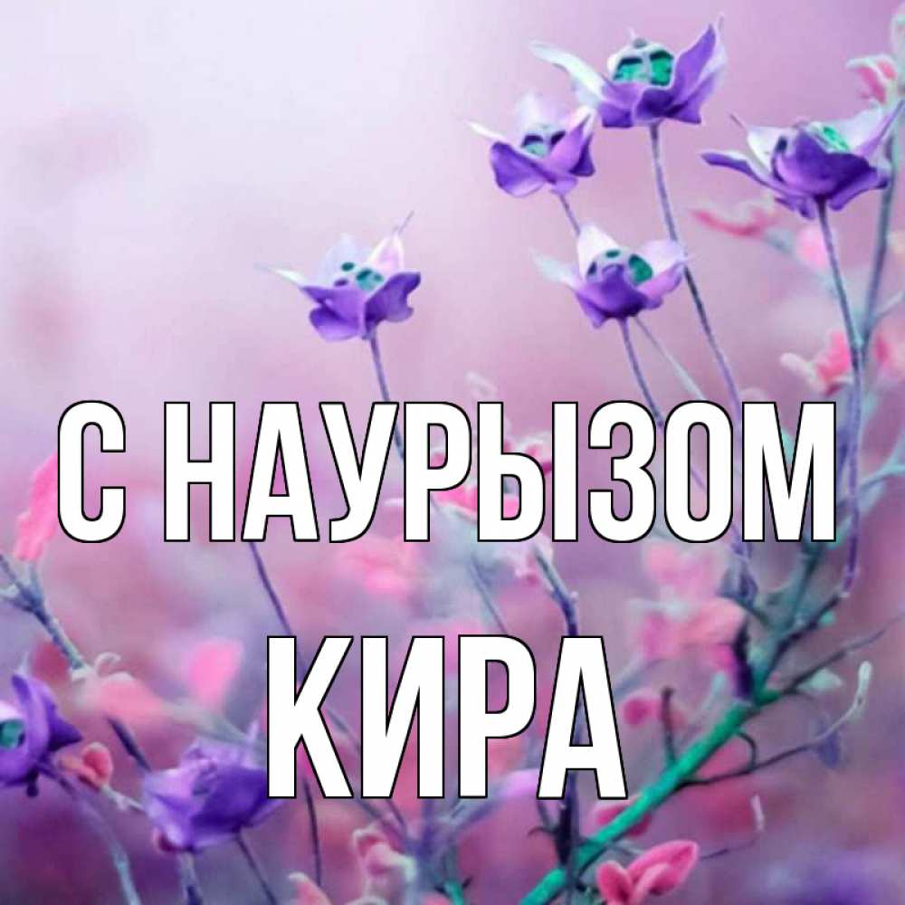 Открытка на каждый день с именем, Кира С наурызом международный женский день 2 Прикольная открытка с пожеланием онлайн скачать бесплатно 