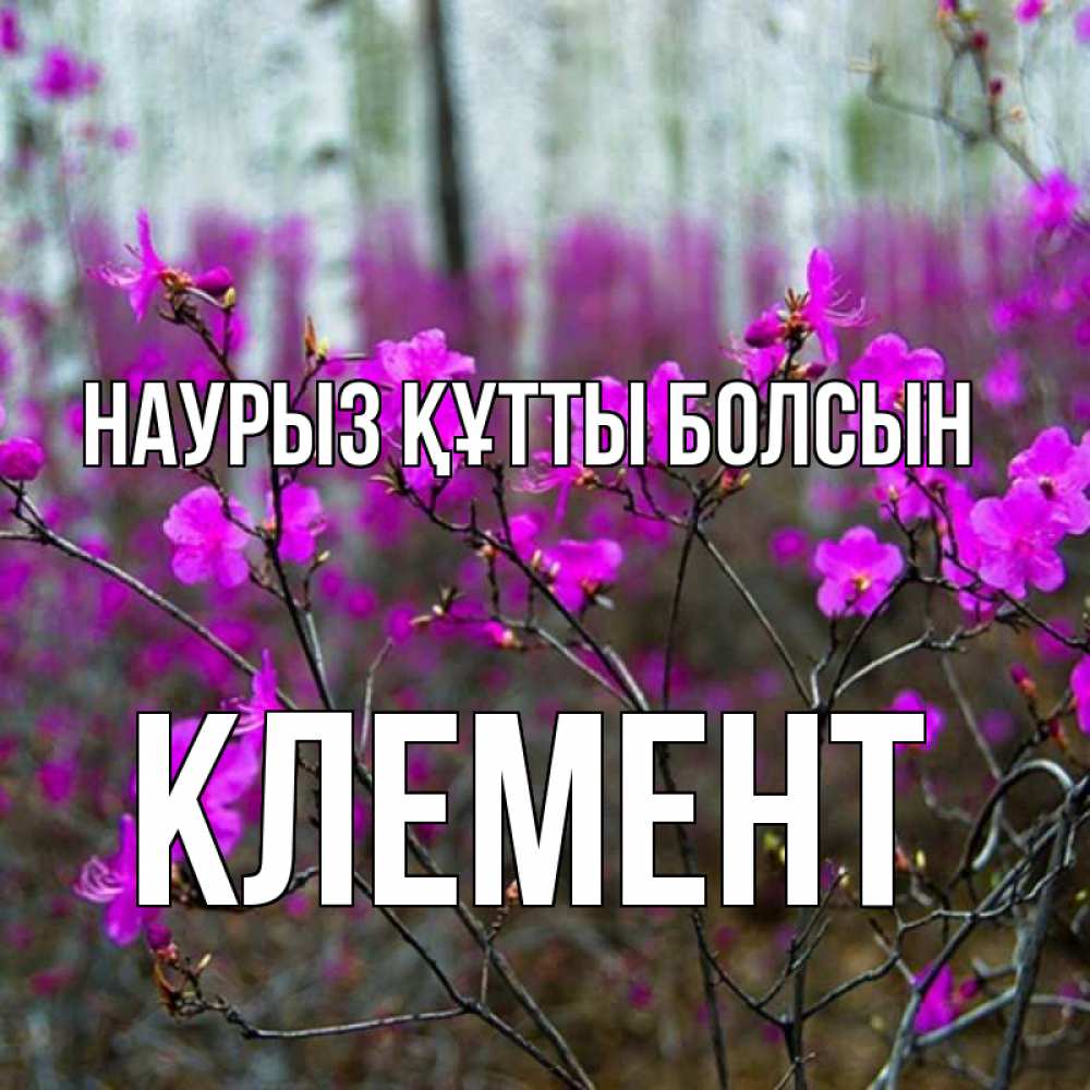 Открытка на каждый день с именем, Клемент Наурыз құтты болсын дикие цветы Прикольная открытка с пожеланием онлайн скачать бесплатно 