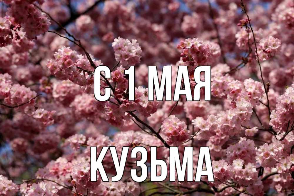 Открытка на каждый день с именем, Кузьма С 1 мая С 1 мая Прикольная открытка с пожеланием онлайн скачать бесплатно 