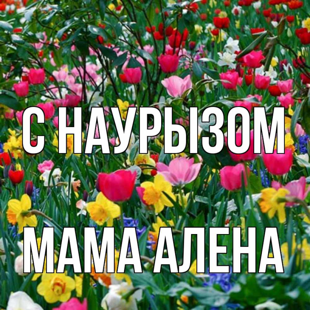 Открытка на каждый день с именем, Мама-Алена С наурызом с наурызом праздником весны поздравления для женщины Прикольная открытка с пожеланием онлайн скачать бесплатно 