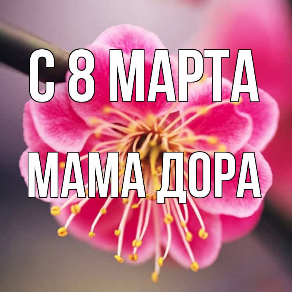 Открытка на каждый день с именем, Мама-Дора С 8 МАРТА цветы Прикольная открытка с пожеланием онлайн скачать бесплатно 