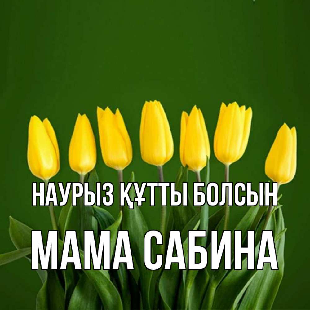 Открытка на каждый день с именем, Мама-Сабина Наурыз құтты болсын желтого цвета 3 Прикольная открытка с пожеланием онлайн скачать бесплатно 