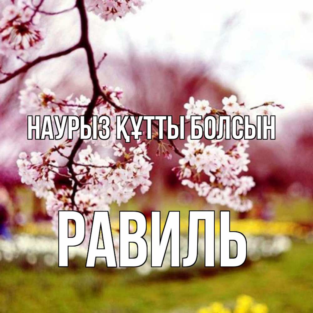 Открытка на каждый день с именем, Равиль Наурыз құтты болсын яблоня Прикольная открытка с пожеланием онлайн скачать бесплатно 