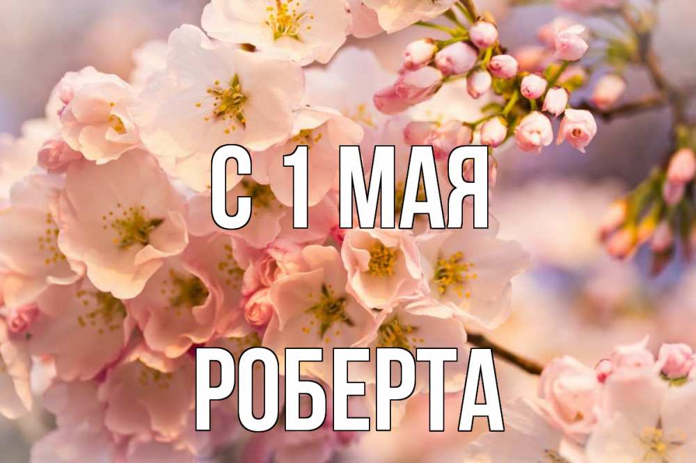 Открытка на каждый день с именем, Роберта С 1 мая С 1 мая Прикольная открытка с пожеланием онлайн скачать бесплатно 