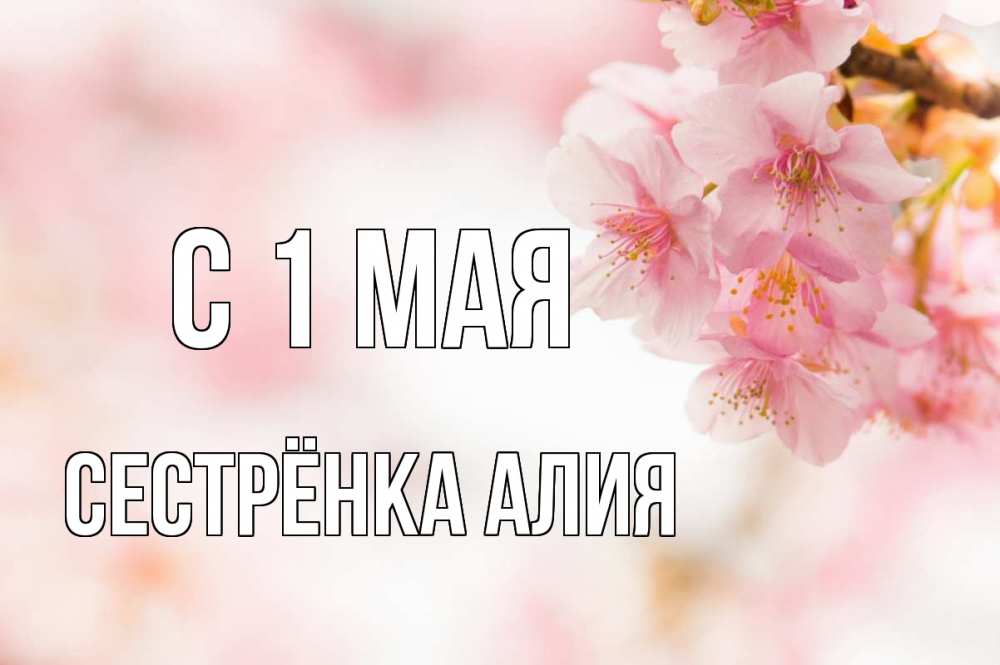 Открытка на каждый день с именем, Сестрёнка-Алия С 1 мая С 1 мая Прикольная открытка с пожеланием онлайн скачать бесплатно 