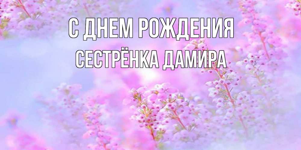 Открытка на каждый день с именем, Сестрёнка-Дамира С днем рождения красивая открытка с мелкими цветами Прикольная открытка с пожеланием онлайн скачать бесплатно 