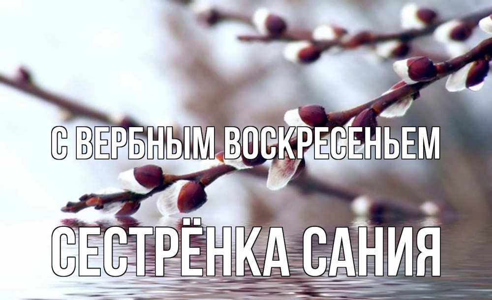 Открытка на каждый день с именем, Сестрёнка-Сания С вербным воскресеньем верба, ручей Прикольная открытка с пожеланием онлайн скачать бесплатно 