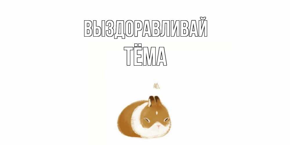 Открытка на каждый день с именем, Тёма Выздоравливай морская свинка на открытке с пожеланиями не болеть Прикольная открытка с пожеланием онлайн скачать бесплатно 