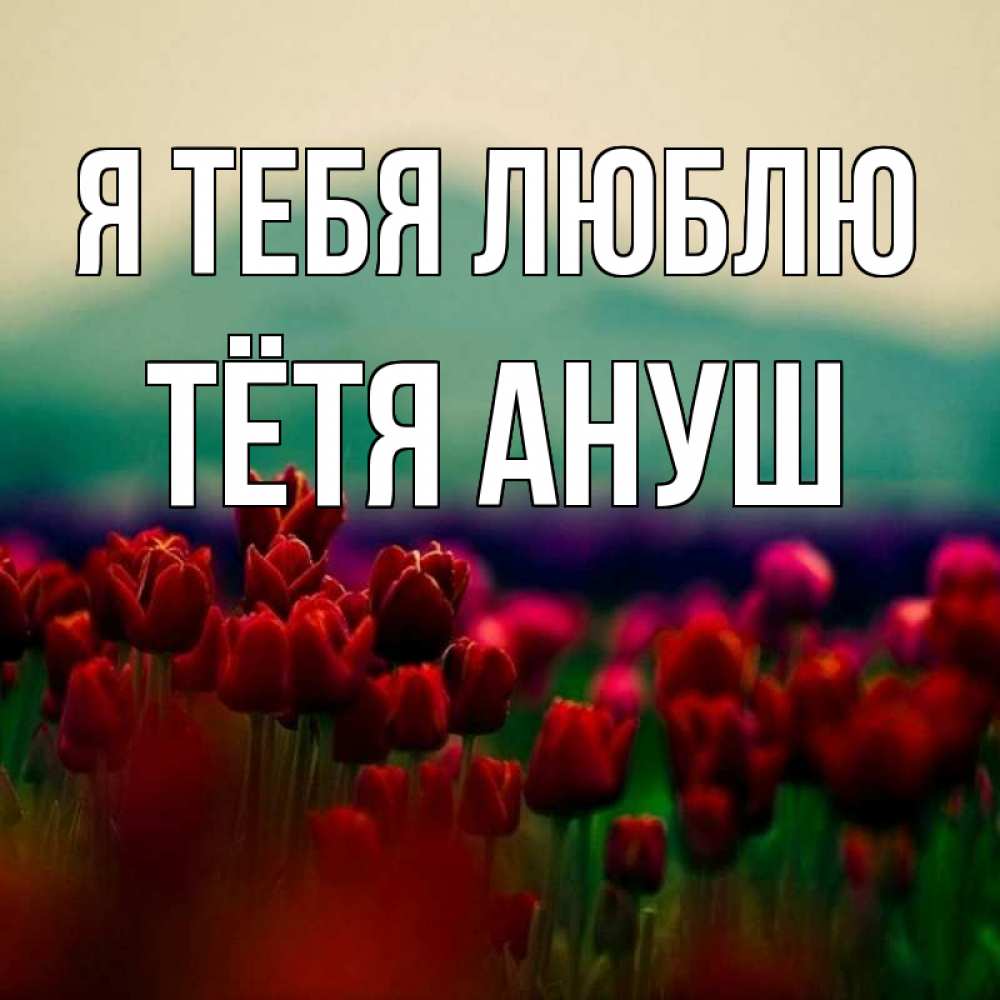 Открытка на каждый день с именем, Тётя-Ануш Я тебя люблю тюльпаны 4 Прикольная открытка с пожеланием онлайн скачать бесплатно 