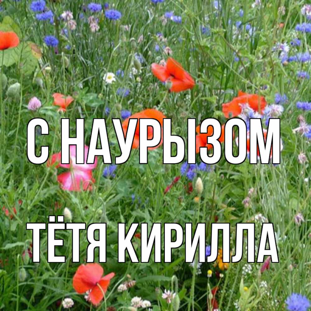Открытка на каждый день с именем, Тётя-Кирилла С наурызом праздник весны наурыз супер открытка Прикольная открытка с пожеланием онлайн скачать бесплатно 