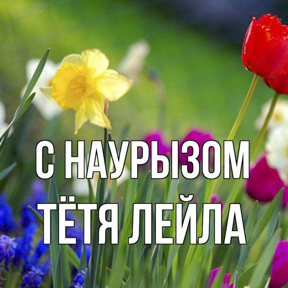 Открытка на каждый день с именем, Тётя-Лейла С наурызом праздник весны наурыз 3 Прикольная открытка с пожеланием онлайн скачать бесплатно 