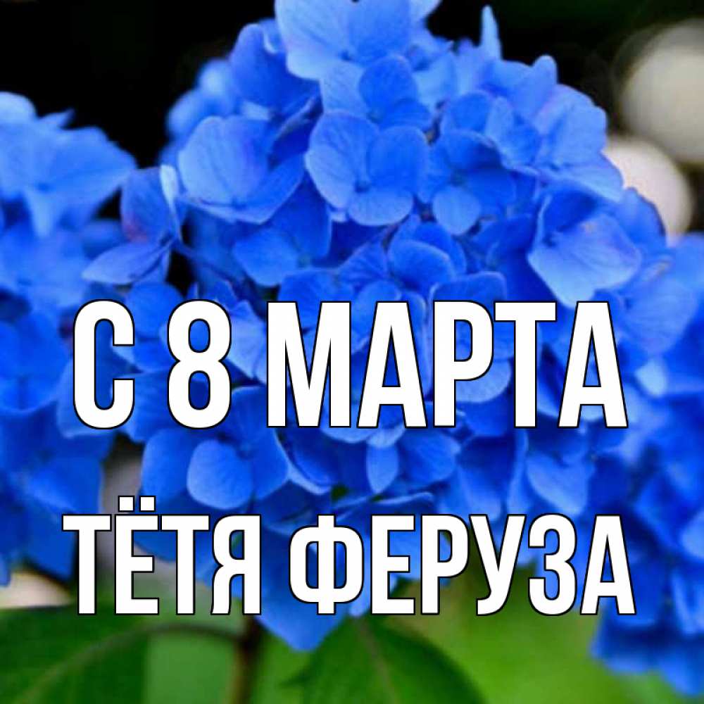 Открытка на каждый день с именем, Тётя-Феруза С 8 МАРТА синие цветы Прикольная открытка с пожеланием онлайн скачать бесплатно 