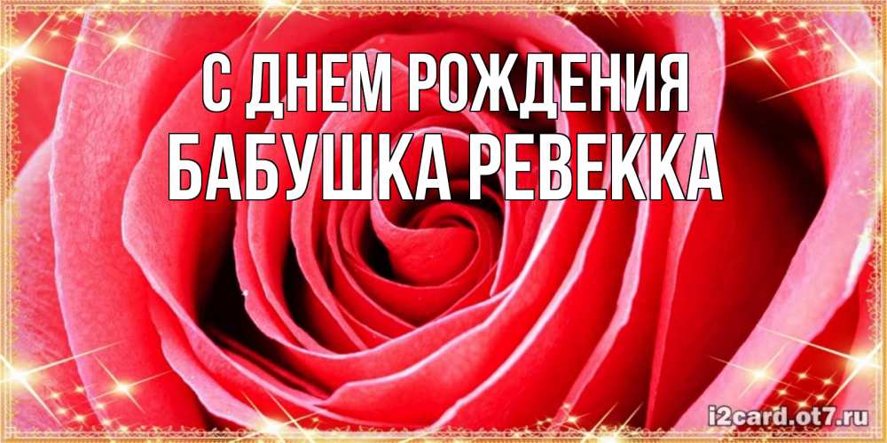 Открытка на каждый день с именем, Бабушка-Ревекка С днем рождения розовая роза очень крупный бутон Прикольная открытка с пожеланием онлайн скачать бесплатно 