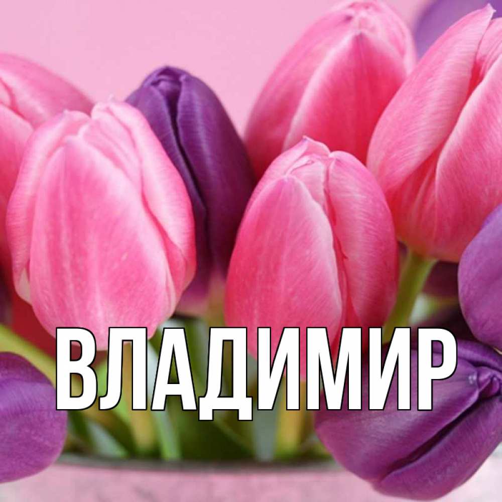 Открытка на каждый день с именем, Владимир Главная маме 1 Прикольная открытка с пожеланием онлайн скачать бесплатно 