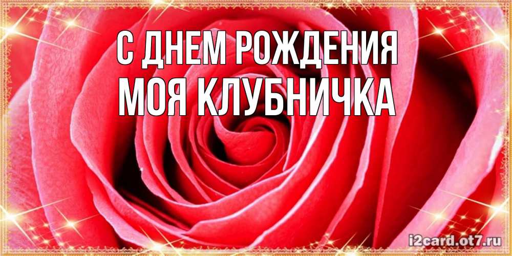 Открытка на каждый день с именем, Моя-клубничка С днем рождения розовая роза очень крупный бутон Прикольная открытка с пожеланием онлайн скачать бесплатно 