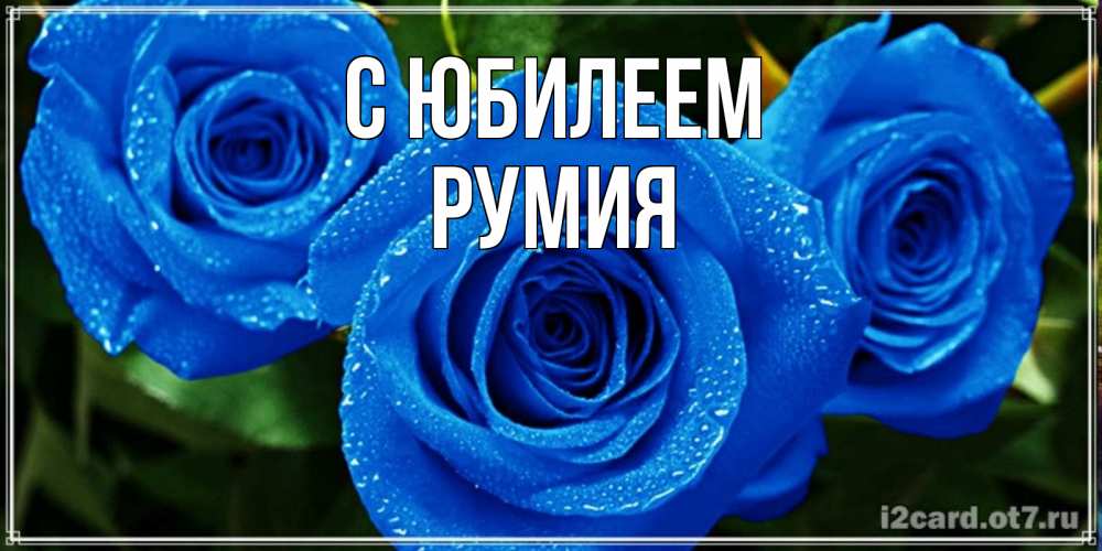 Открытка на каждый день с именем, Румия С юбилеем розы с синим цветом Прикольная открытка с пожеланием онлайн скачать бесплатно 