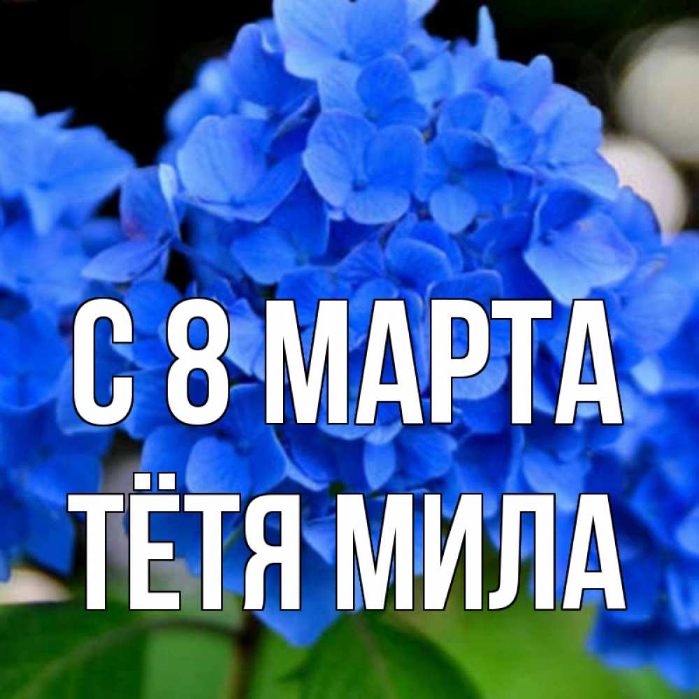 Открытка на каждый день с именем, Тётя-Мила С 8 МАРТА синие цветы Прикольная открытка с пожеланием онлайн скачать бесплатно 