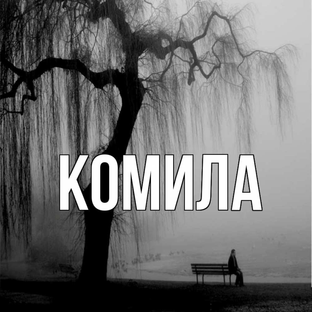 Открытка на каждый день с именем, Комила Главная висящие ветки дерева и лавочка под деревом Прикольная открытка с пожеланием онлайн скачать бесплатно 