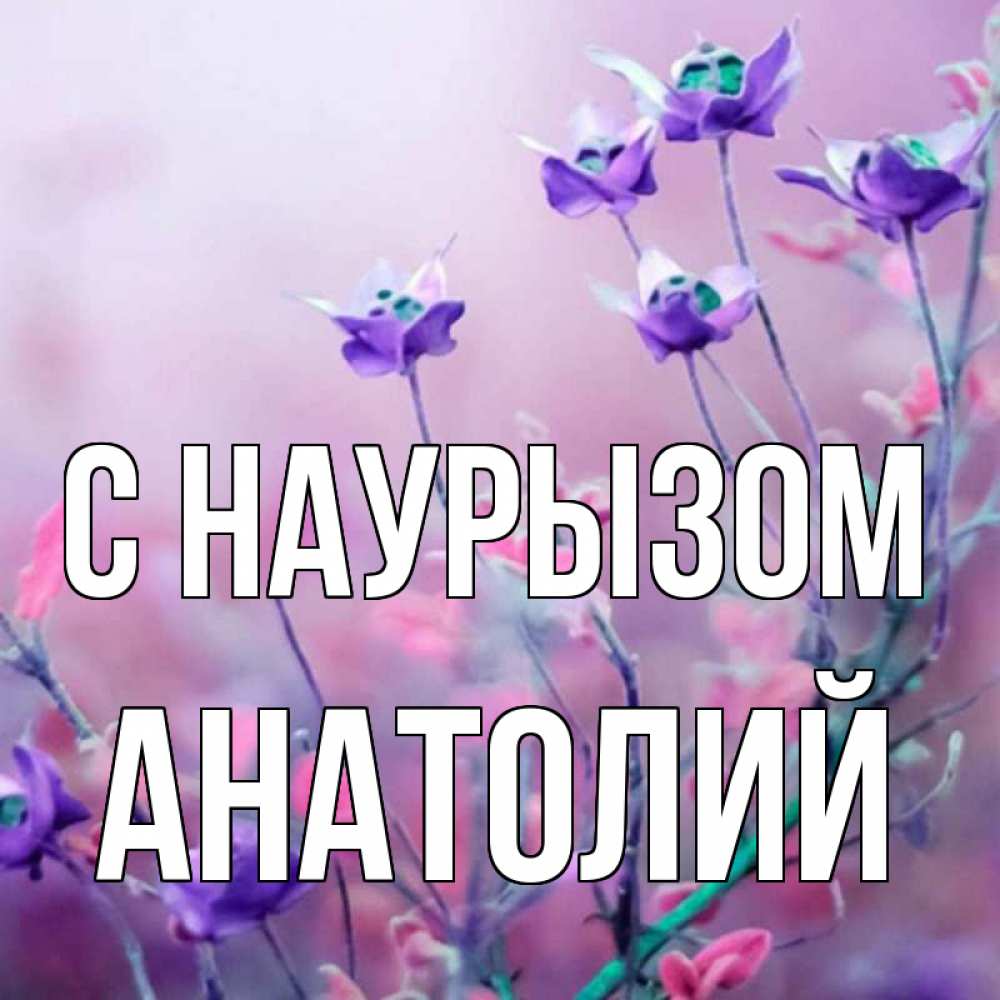 Открытка на каждый день с именем, Анатолий С наурызом международный женский день 2 Прикольная открытка с пожеланием онлайн скачать бесплатно 