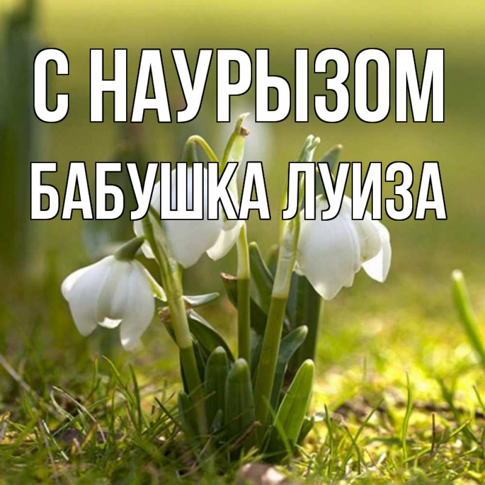 Открытка на каждый день с именем, Бабушка-Луиза С наурызом ранние цветы 2 Прикольная открытка с пожеланием онлайн скачать бесплатно 