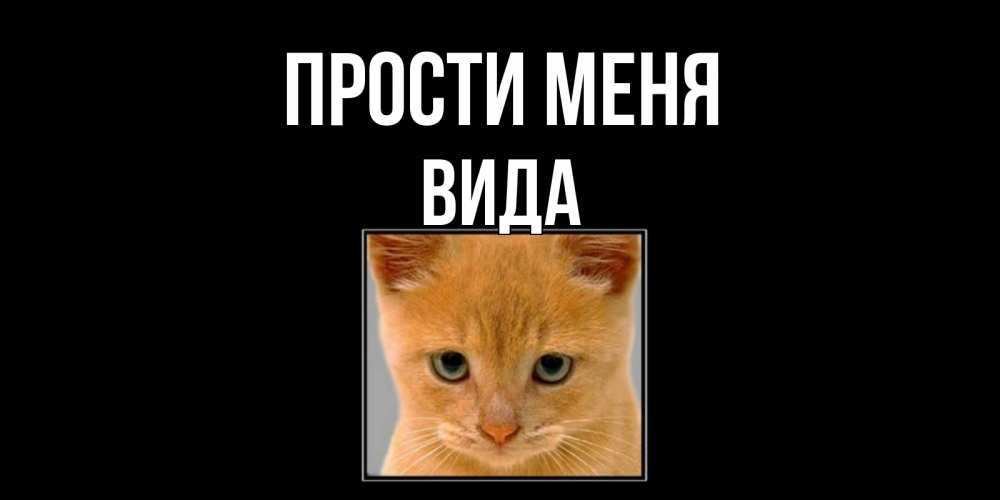Открытка на каждый день с именем, Вида Прости меня рыжий грустный кот просит прощения Прикольная открытка с пожеланием онлайн скачать бесплатно 