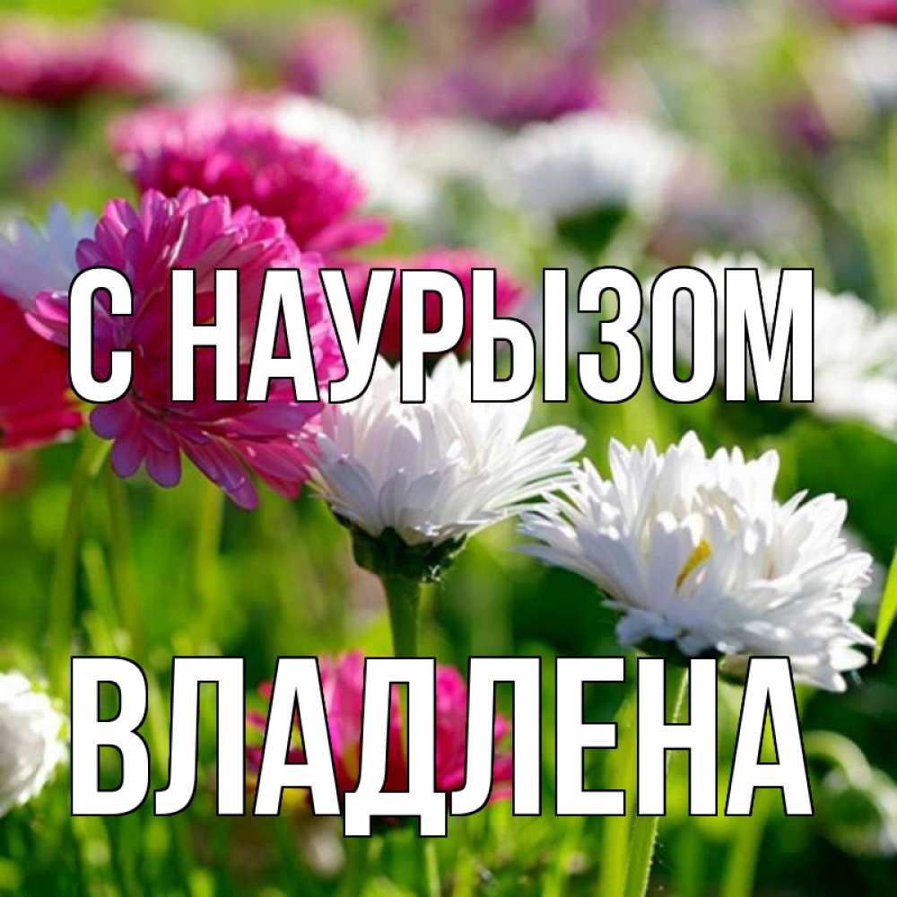 Открытка на каждый день с именем, Владлена С наурызом праздник весны наурыз красота Прикольная открытка с пожеланием онлайн скачать бесплатно 