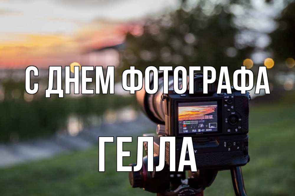 Открытка на каждый день с именем, Гелла С днем фотографа с днем фотографа Прикольная открытка с пожеланием онлайн скачать бесплатно 