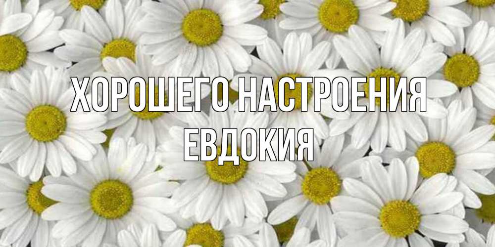 Открытка на каждый день с именем, Евдокия Хорошего настроения поляна ромашек Прикольная открытка с пожеланием онлайн скачать бесплатно 