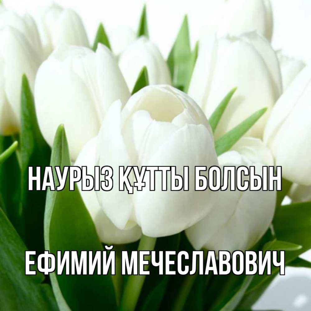 Картинка Наурыз құтты болсын, Ефимий Мечеславович